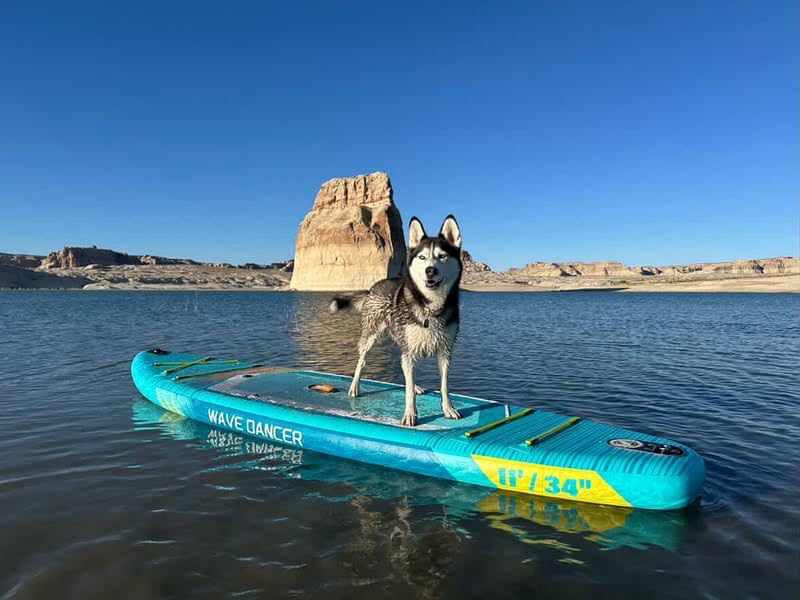 TIGERXBANG Aufblasbares Stand Up Paddle Board 335×86×15 cm – Premium SUP Set mit komplettem Zubehör | Vielseitiges Paddleboard für Erwachsene