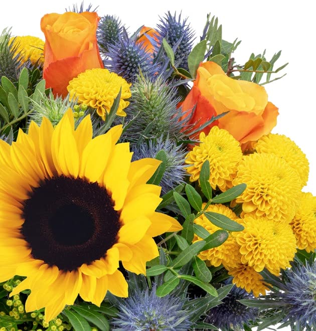 Blumenstrauß Sonnenkuss, Gelber Blumenstrauß mit Sonnenblumen, Sommerstrauß, 7-Tage-Frischegarantie, Qualität vom Floristen, Ideales Blumengeschenk